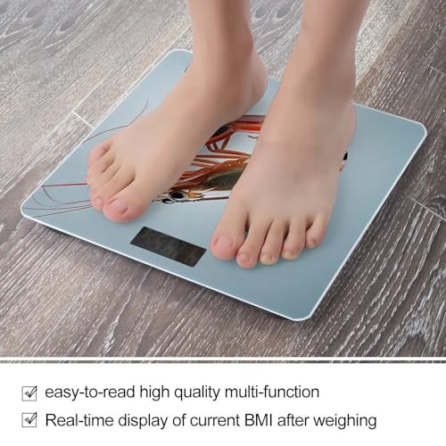 Báscula digital Glutton Garnelen con vidrio templado y pantalla LCD miniatura 5