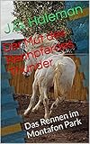 Der Mut des Rennpferdes Thunder: Das Rennen im Montafon Park