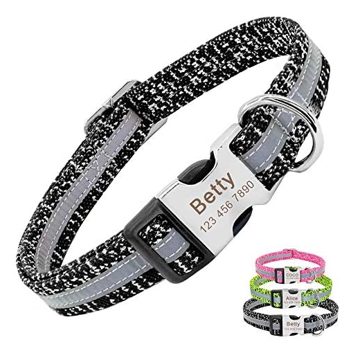 PET ARTIST Personliga hundhalsband för små medelstora hundar, reflekterande graverat hundhalsband med namn för fransk bulldog mops pudel boxer schäfer, grå, M (hals 30–45 cm)