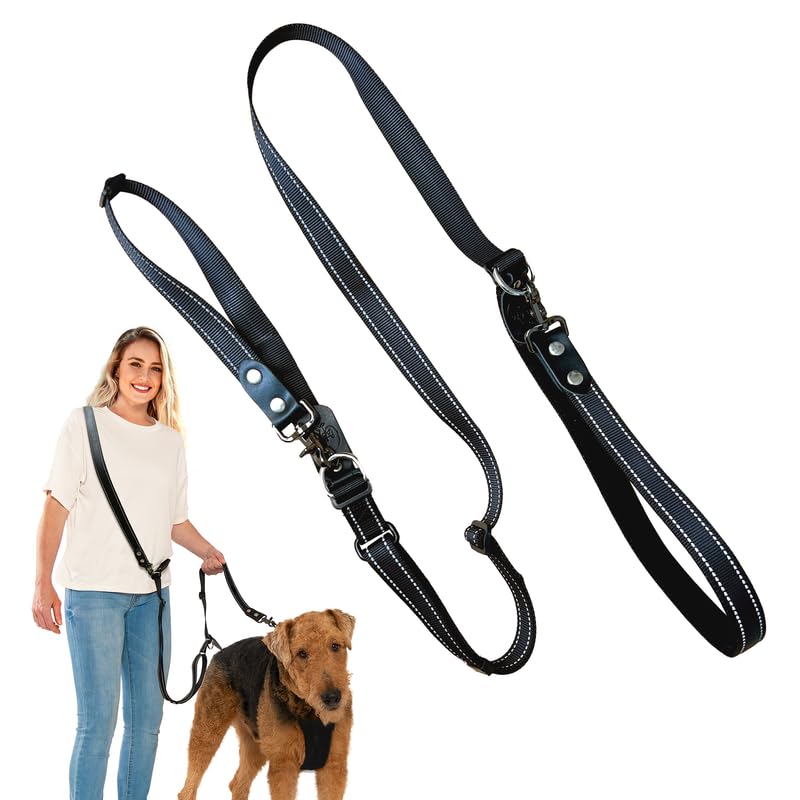 Sporn Ultimate Leash All-in-One Noir Standard laisse multifonction chien