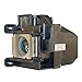ELPLP53 Projector Lamp Replacement for EPSON (Housing Included)