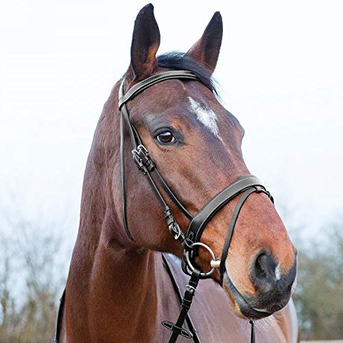 Horze Venice Snaffle Bridle #TOP3