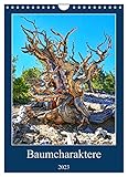 PERFEKTES GESCHENK - Kalender für Freunde und Familie, für Kinder und Erwachsene, jung und alt, zu Weihnachten, Geburtstag oder zwischendurch.