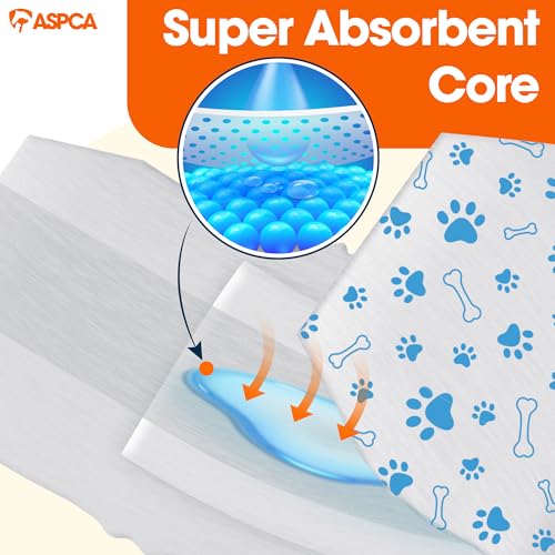 Image of ASPCA Disposable Male Dog Diapers, Leak-Proof Dog Wraps with Wetness Indicator, Adjustable Fit for Training & Incontinence, 24 Count