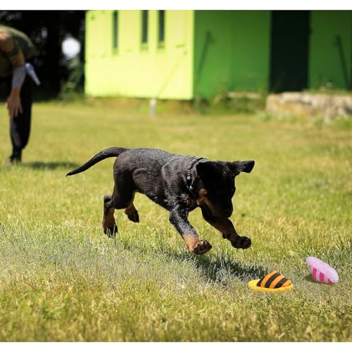 FuninCrea Hund Plüsch Spielzeug, Niedlich Plüsch Hausschuhe Spielzeug Interaktive Hundespielzeug für Mittelgroße Hunde und Welpen Kuscheltier Kauspielzeug für Verringerung der Langeweile (Rosa)