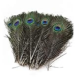 15 Stück Natürliche Pfauenfeder Federn Pfau Deko Natur Kunst Pfau Federn Pfau Schwanzfedern mit Augen Federn zum Basteln für Hüte Kostüm Hochzeit Party Dekoration und DIY Craft (25-30CM)