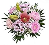 Flora Trans