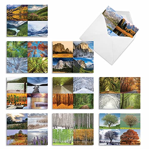 Image of The Best Card Company - 10 Beautiful Note Cards Blank (4 x 5.12 Inch) - Fall and Autumn Season, Boxed Notecard Assortment - Four Seasons M6489OCB