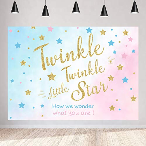 apertureetwinkle twinkle little star gender reveal backdrops baby shower party backdrop 7x5ft pink and blue little star photography background baby shower birthday decoration vinyl photo banner dailymail aperturee twinkle twinkle little star gender reveal backdrops baby shower party backdrop 7x5ft pink and blue little star photography background baby