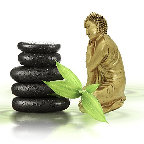 Brabud Resin 10.63"(H) Napping Indian Buddha Statue Gold Home Decor Housewarming Gift Bs107 #TOP4