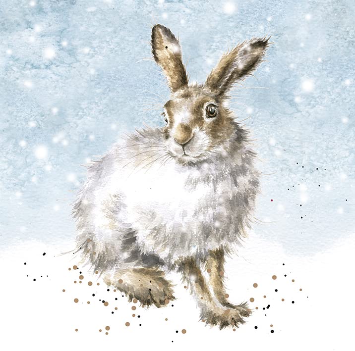 Wrendale Designs by Hannah Dale - Winter Hare - Christmas Card Box Set - Pack of 8 โ image 1
