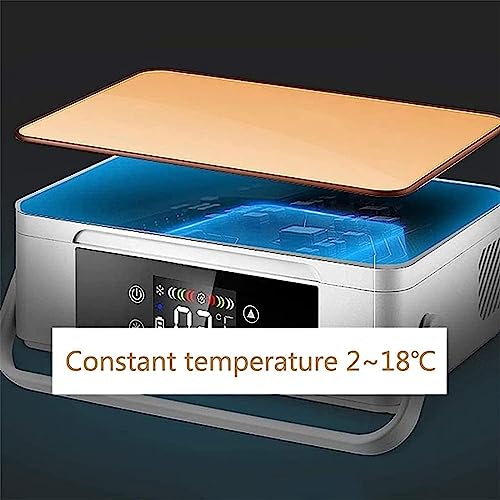 Réfrigérateur portable insuline contre la chaleur pour interféron