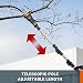 WORX WG349E.9 20V Pole Pruner/Saw