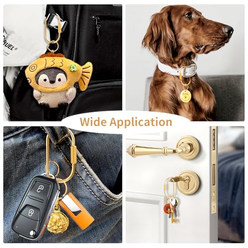 Image of Muitcdo Brass Key Rings Bulk, Key Chain Organizer Holder for Men Women with Secure Screw Locking