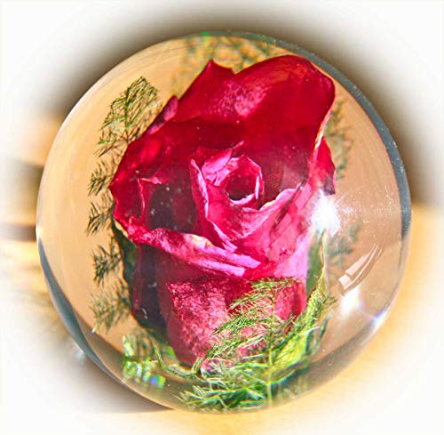 Preisvergleich Produktbild Briefbeschwerer Rose