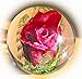 Produktbild Briefbeschwerer Rose