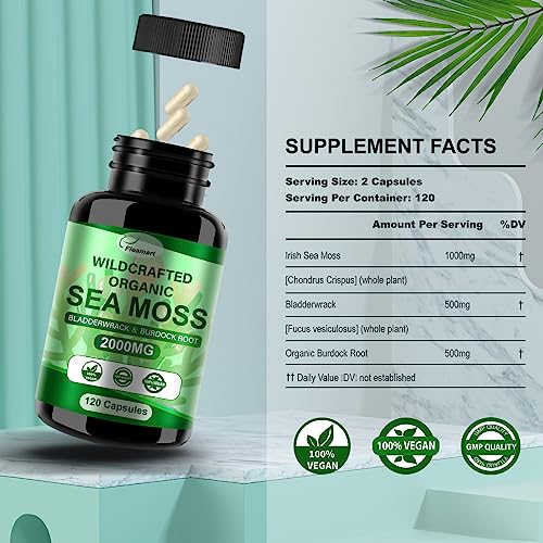 Fleamart Irish Sea Moss Capsules with Bladderwrack & Burdock (120 ct) — view 3