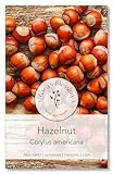 Gaea's Blessing Seeds - Hazelnut Seeds for Planting (Corylus Americana) - Non-GMO Seeds with Easy to Follow Planting Instructions - Open-Pollinated, Heirloom, Untreated