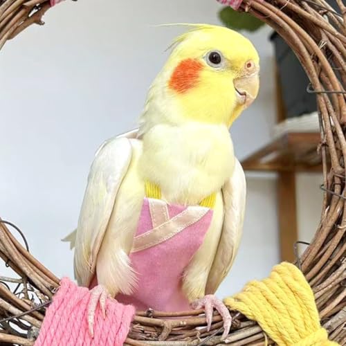 Parrot Flight Suits Fraldas, Parrot Flight Suits Fraldas para Periquitos Quaker Calopsitas, Roupas d