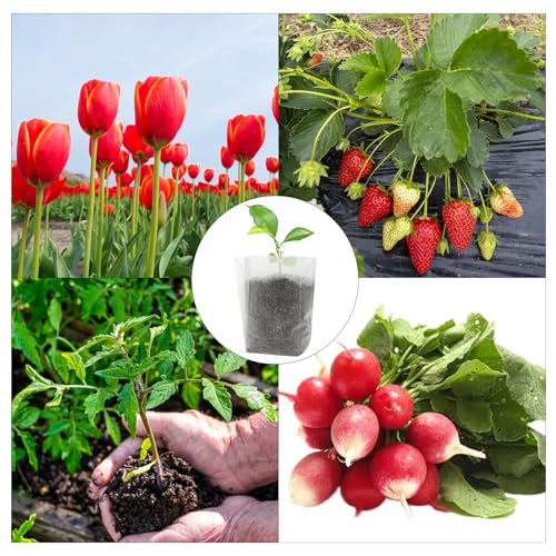 Sucrain 100Pcs 5.5 * 6 Inch White Plant Nursery Bags, Non-Woven Seedling Bag Degradable Fabric Nursery Planting Bag for Fruit Vegetable Sapling Garden Flower Seed Culturing&Transplant Supply