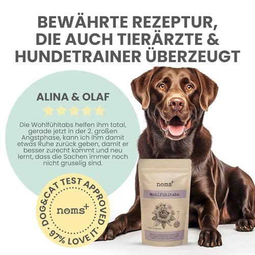 noms+ Wohlfühltabs - Beruhigungsmittel für Hunde bei Stress, Angst, Unruhe und Hyperaktivität | natürliche Entspannung mit Hanföl, Baldrian, Johanniskraut, Passionsblume & Ashwagandha