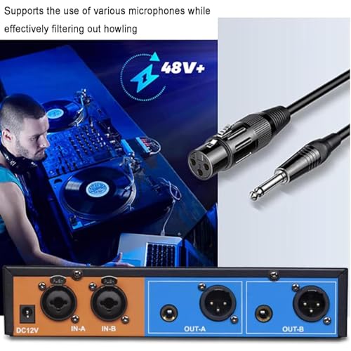 Supresor Digital de Retroalimentación, 2 entradas y 4 salidas, con desplazamiento de frecuencia anti-aullido, ecualización paramétrica de 5 niveles y aumento acústico de ganancia de 5 a 14 dB, para escenario miniatura 5