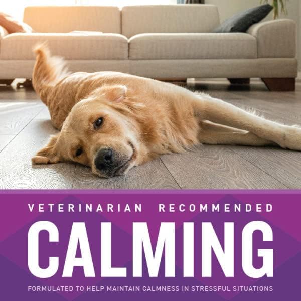 VetIQ Calming Support Supplement for Dogs, Anxiety Supplement Soft