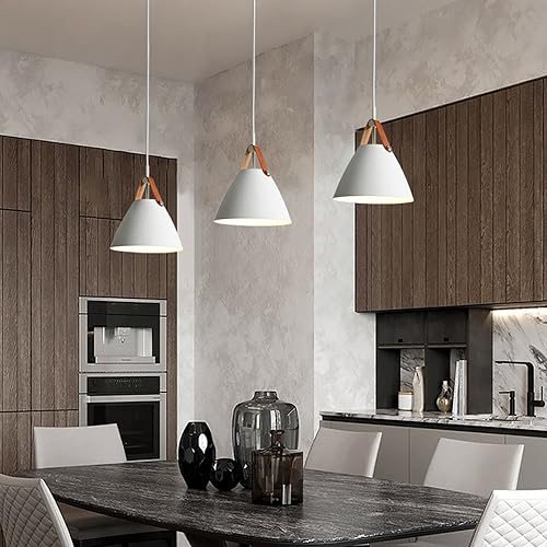 Suspension de plafond à vis E27 de style industriel MMRTDJDR - 2