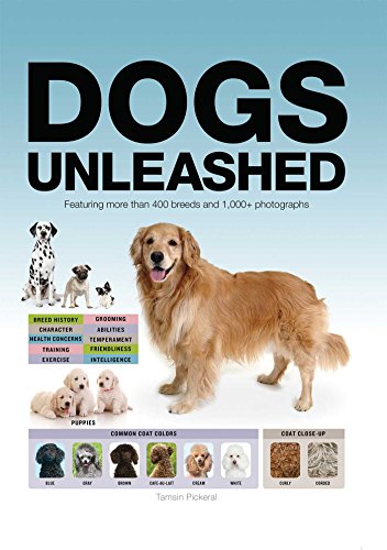unleashed dog store