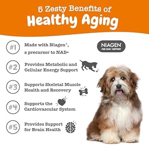 Zesty Paws NAD+ Precursor Supplement for Dogs - Niagen for Healthy Aging & Skeletal Muscle Support & Recovery - Brain, Heart, & Cellular Energy Support - Nicotinamide Riboside Chloride – 30 Sachets Zesty Paws NAD+ Precursor Supplement for Dogs – Niagen for Healthy Aging & Skeletal Muscle Support & Recovery – Brain, Heart, & Cellular Energy Support – Nicotinamide Riboside Chloride – 30 Sachets