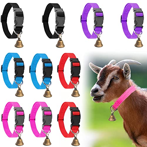 Evite pérdidas en su granja con collares de cabra antipérdida de nailon 2