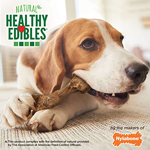 Nylabone-Healthy-Edibles-WILD-Natural-Long-Lasting-Bison-Flavor-Dog-Chew-Treats-Wild-Bone-MediumWolf-2-Count