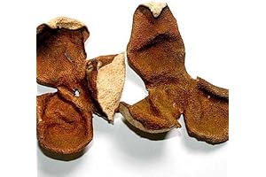 Chen Pi Aged Tangerine Peel: Enhance Your Culinary and Medicinal Explorations