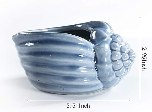 Miniatura 5 de Macetas bonsái de 5.5 pulgadas, serie Blue Conch Ocean Serie, juego de serie de base de cerámica, maceta para suculentas, maceta de cactus, maceta