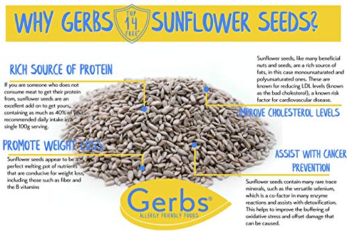 Gerbs Mega Lightly Salted Pumpkin & Sunflower Seed (Kernels & In-Shell) Gift Pack, Top 14 Food Allergen Free, Non Gmo, Vegan, Keto, Paleo Friendly #TOP4