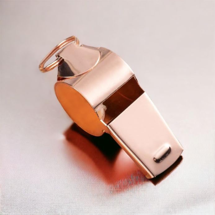 Personalised Stainless Steel Sports Whistle Teacher Coach Gift Engraved