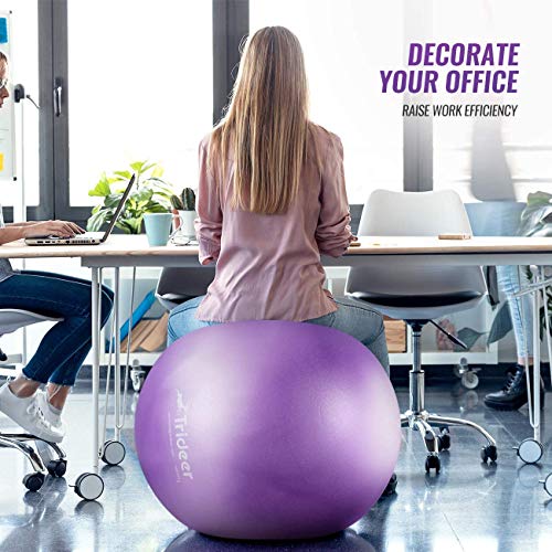 image for Trideer Newest Exercise Ball, Yoga Ball for Home Gym & Desk Chair - F