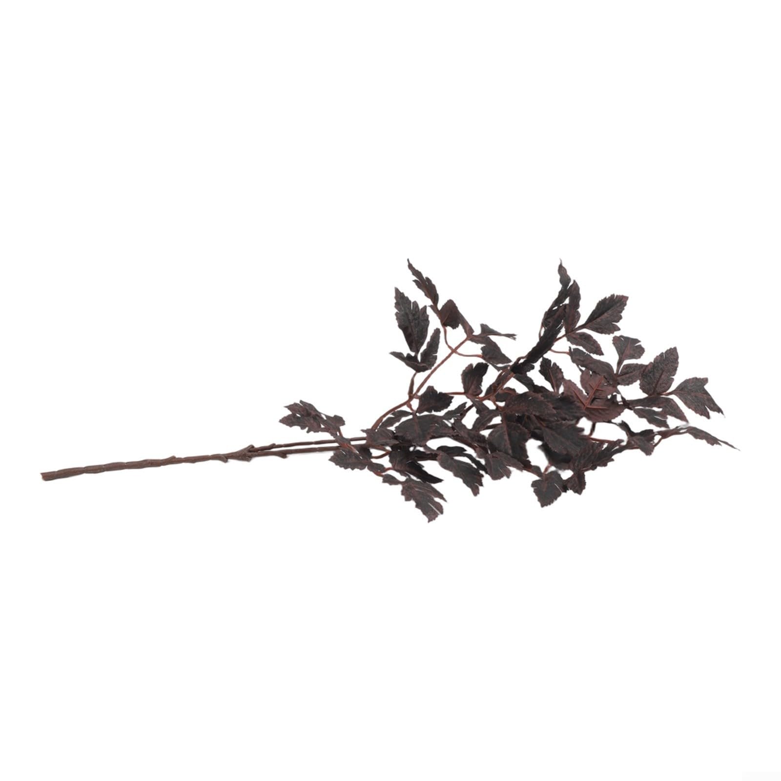 Confezione da 6 steli realistici per Cimicifuga viola prugna da 80 cm (80