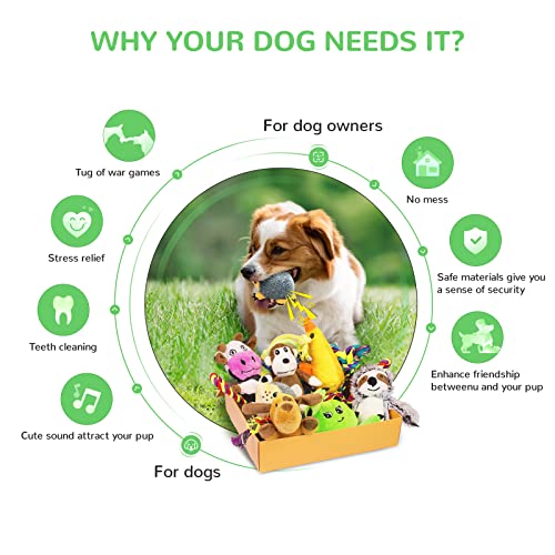 Dog Squeaky Toys For Small Dogs, 12 Pack Puppy Toys For Teething Cute Small Dog Toys Stuffed Plush Dog Toy Bundle Natural Cotton Puppy Rope Toy Dog Chew Toys For Puppies Pet Toys For Dogs Dog Squeaky Toys For Small Dogs, 12 Pack Puppy Toys For Teething Cute Small Dog Toys Stuffed Plush Dog Toy Bundle Natural Cotton Puppy Rope Toy Dog Chew Toys For Puppies Pet Toys For Dogs