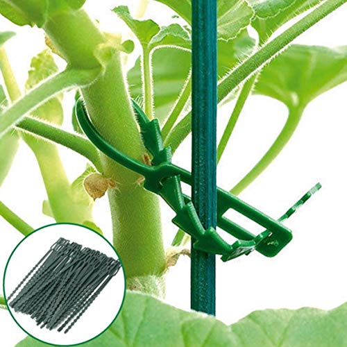 Preisvergleich Produktbild 50PCS Gartenarbeit Fischknochen Banding Garten Umreifung Kabelbinder Fischknochendorn Grün Gartenarbeit Krawatte Gartenwerkzeug