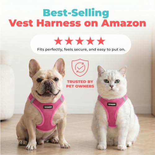 Image of Voyager Step-in Air Dog Vest Harness - Fuchsia, XXX-Small | 11 - 12 inch in Chest, Reflective Bands, All Weather Breathable Air Mesh, Cats Compatible, Lightweight, Fast Drying