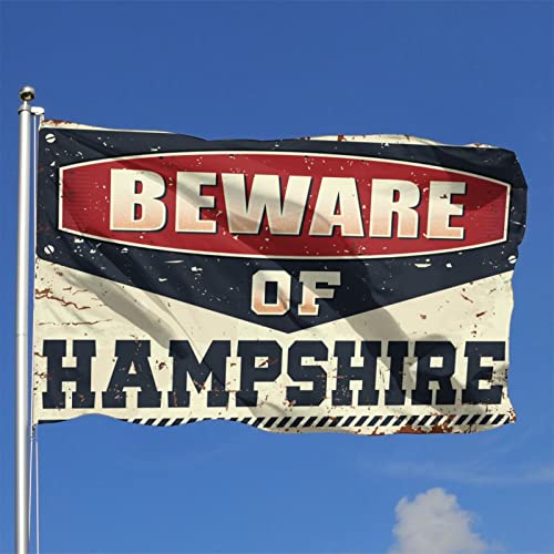 Drapeau It's A Boy COTECI décoration extérieure Hampshire grand format