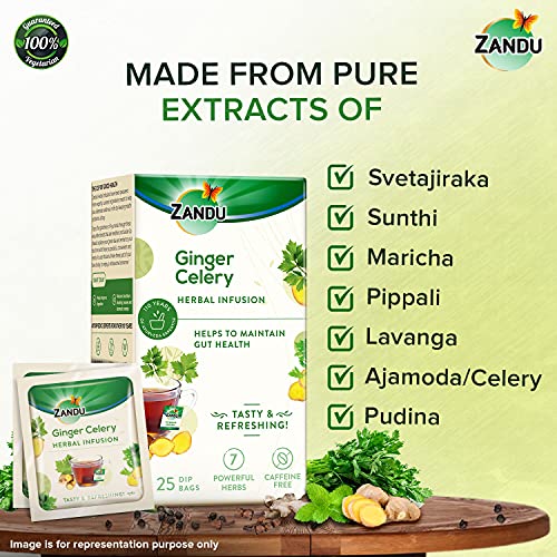 Image of Zandu Ginger Celery Herbal Infusion, a Herbal Tea Enriched with Ayurvedic Ingredients (25 Tea Bags)