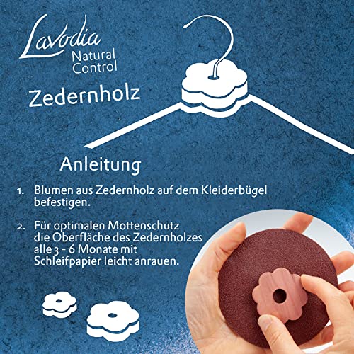 Mottenschutz mit Zedernholzringen von Lavodia: 30 Stück