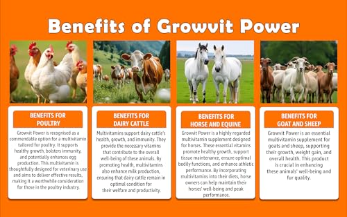 Image of Growel Agrovet Growvit Power Multivitamin Supplement for Poultry, Cattle, Goats, Sheep, Horses, Pigs, Pigeons, Pet Birds & Aquaculture | Supports Growth, Immunity, Energy & Overall Health - (1000 ml)