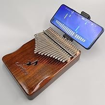 21 Keys Solid Kalimba with App Phone Holder Carrying Case Portable Thumb Piano Mbira Gifts Professional Beginners Tuning Hammer Finger Covers Key Stickers