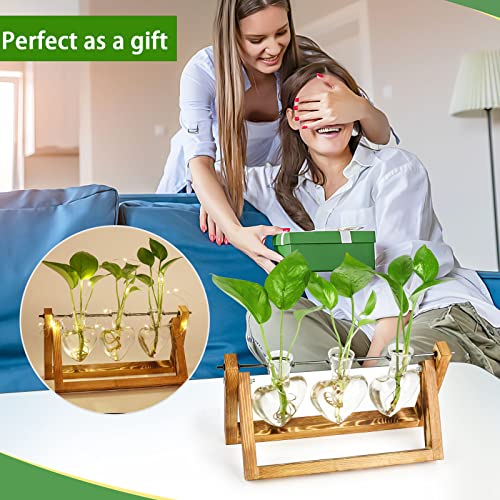 Mikiwon Plant Terrarium With Wooden Stand & Led Lights，Planter Glass Heart Shaped Vase Metal Holder Retro Tabletop Indoor Plants Home Garden Office Desktop Decor Gifts For Plant Lovers #TOP6