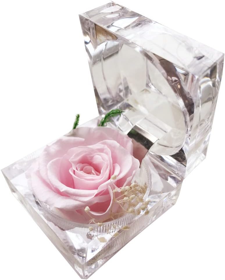 Preserved Rose Real Forever Rose in Mini Clear Ring Box, Eternal Flower Rose Gifts for Women Mom Girlfriend Grandma, Mothers Day, Anniversary, Valentines, Christmas, Birthday (Pink)