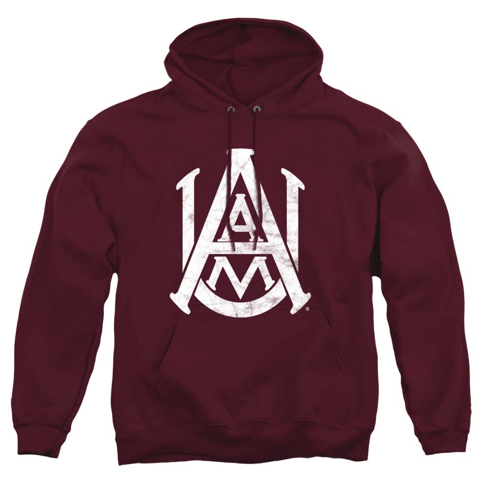 LOGOVISION Official Collegiate Distressed Primary Logo Adult Pullover Hoodie Collection — view 43