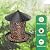 Bird Feeder for Outdoor Hanging, No Mess No Spill and Squirrel Proof Feeder